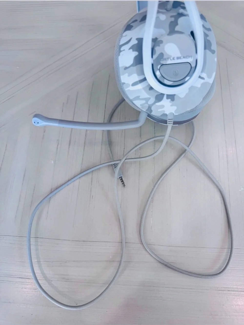Turtle Beach turtle beach